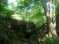 Wolfsschanze