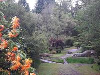 Üppiges Wachstum auf Garinish Island