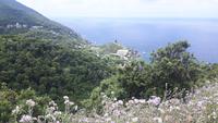 Cap Corse (Westseite - Pino)