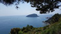 Isola Palmeria - Tino