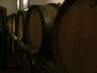 Weingut ZONIN (5)