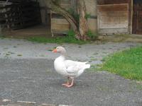 Freilichtmuseum Fladungen