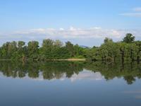 Morgenstimmung im Donauknie