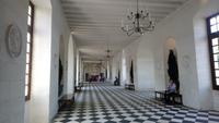DSC_0232Chenonceau (5)