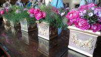 DSC_0241Chenonceau (2)