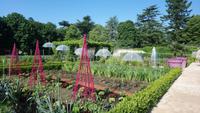 DSC_0270cheverny (9)