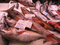 In der Markthalle von Palma