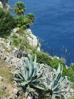 Fotostopp an der Steilküste