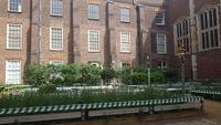 Hampton Court Palace 20180518_170808
