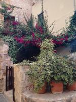 Chania, Kreta
