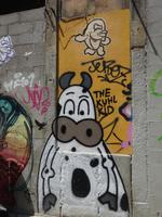 Singlereise Porto und Lissabon - Porto