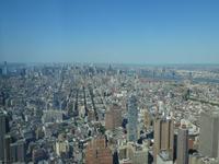 Blick vom One Trade Center