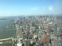 Blick vom One Trade Center