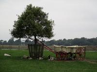 The Lost Gardens of Heligan