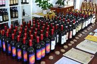 Weinverkostung auf einem Bauernhof bei Empoli (viel Wein!)