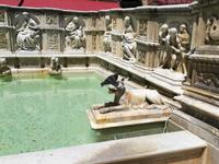 Brunnen auf der Piazza il Campo - mit Taube.