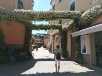 Auf einer Strasse von Porto Azzurro auf der Insel Elba.