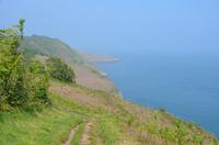 Wanderung im Norden Jerseys