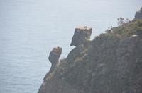 Fantasievolle Felsformationen