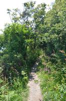 Wanderweg entlang der Nordküste Jerseys