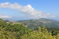 IMG_7526