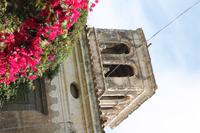 IMG_7657