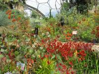 Eden Project