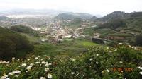 Tag - Teneriffa - Norden