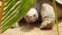 Teneriffa - Loro Parque