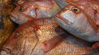 Gran Canaria - MArkthalle Las Palmas (2)