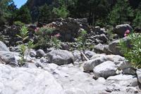 Kreta Samaria-Schlucht - Wanderung