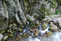 Karpaten - Klamm nahe Piatra Neam? 