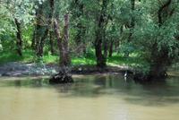 Tulcea - Walachei - Donau-Delta