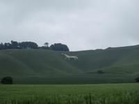 White Horse of Cherhill