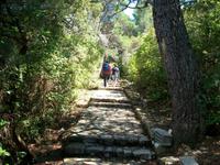 Nationalpark Mljet 