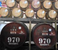 Hier reift der Madeirawein II