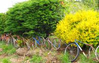 Ein origineller Gartenzaun