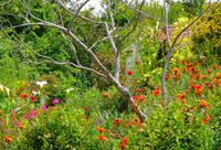 Farbenprächtiger Ziergarten