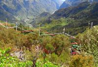 Pfingstfeierlichkeiten