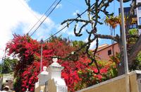 Auf dem Weg zum Kräutergarten