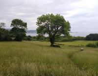 Am Château d'Abbadie 