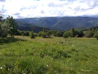 Blick von der Vogesenkammstraße 