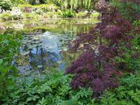 18.5.2018 Giverny Wasssergarten 