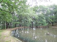 Wanderung im Gargagano-Nationalpark und der Hochwald Foresta Umbra (5)