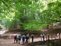 Wanderung im Gargagano-Nationalpark und der Hochwald Foresta Umbra (10)