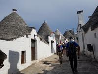 Alberobello und die Rundbauten, sogennante Trulli (Apulien - Italien) (15)