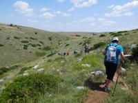 Wanderung in der Basilikata - Gravina Schlucht bei Matera (Apulien - Italien) (7)
