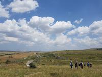 Wanderung in der Basilikata - Gravina Schlucht bei Matera (Apulien - Italien) (33)