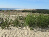 Hohe Düne bei Nidden