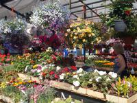 DSCN0974